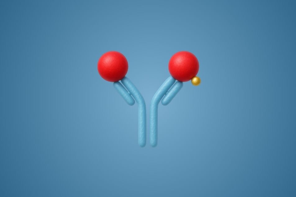 Designing a Highly‑Sensitive Syphilis Antibody Lateral‑Flow Assay with Axiflow™ Components